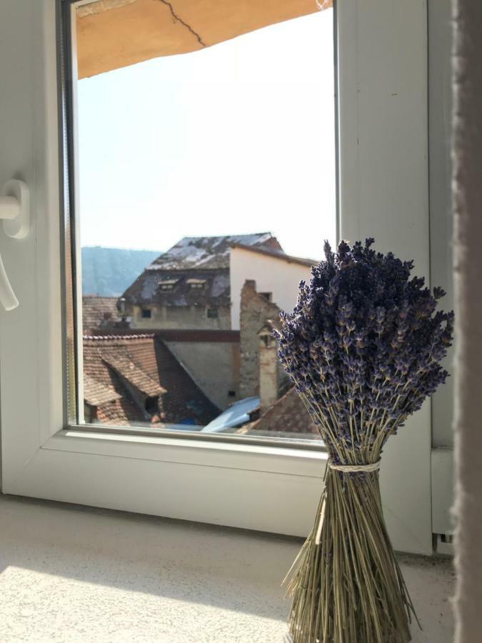 Casa Otto Sighisoara Sighişoara Exterior foto